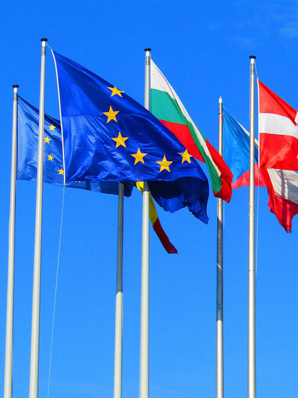 EU/NZ FTA: Seizing opportunities through compliance