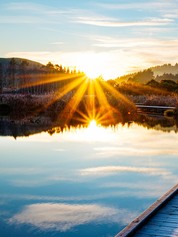 Contract drafting for nature-positive infrastructure 