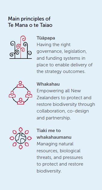 Principles-of-Te-Mana-o-te-Taiao.PNG