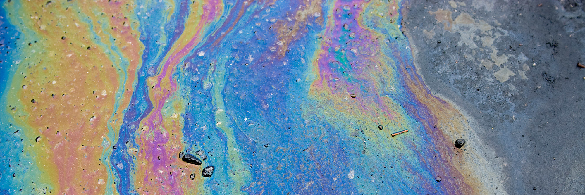 Case study: Court of Appeal rules on exclusion for losses caused by “pollution or contamination” Desktop Image