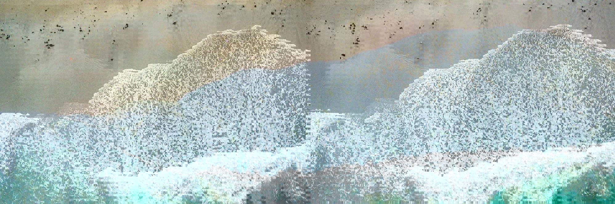 Key insights for insurers: The first wave of climate statements  Desktop Image