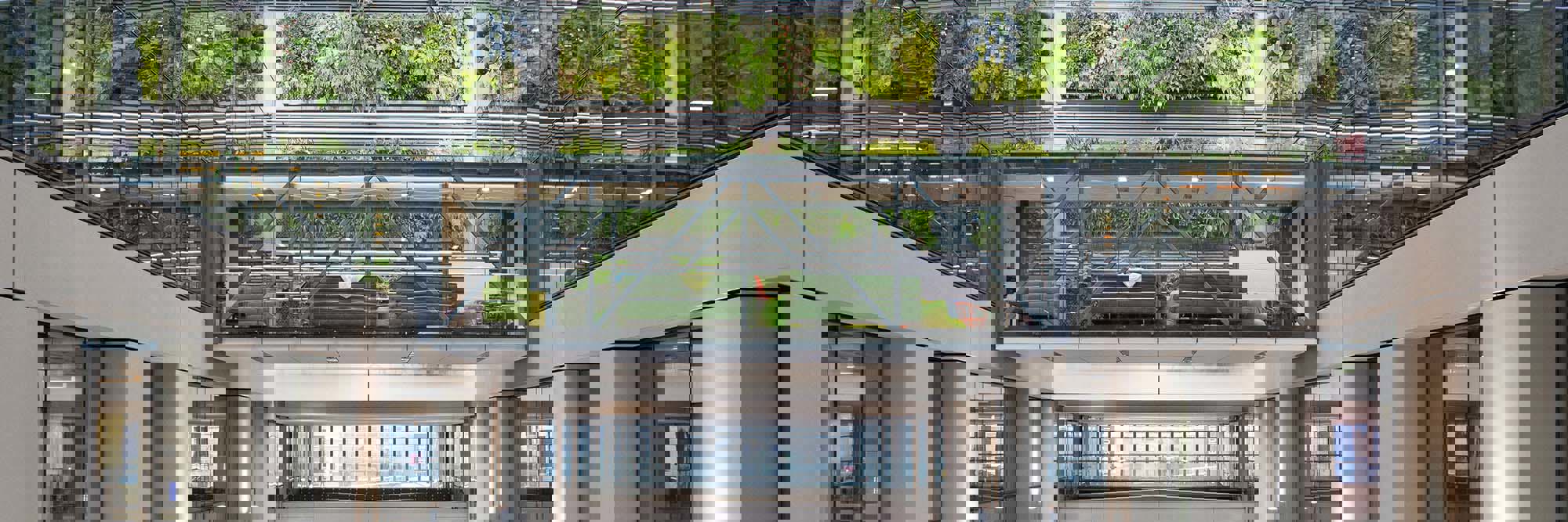 Doing Business in New Zealand Guide 2024 Desktop Image