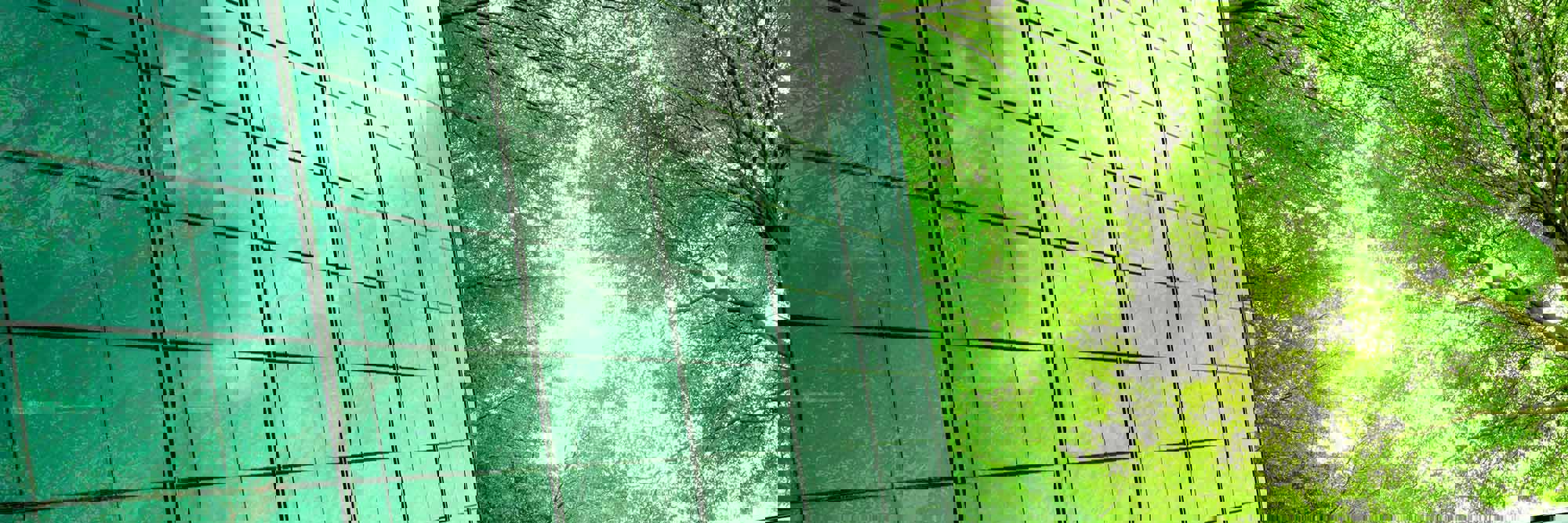 test image