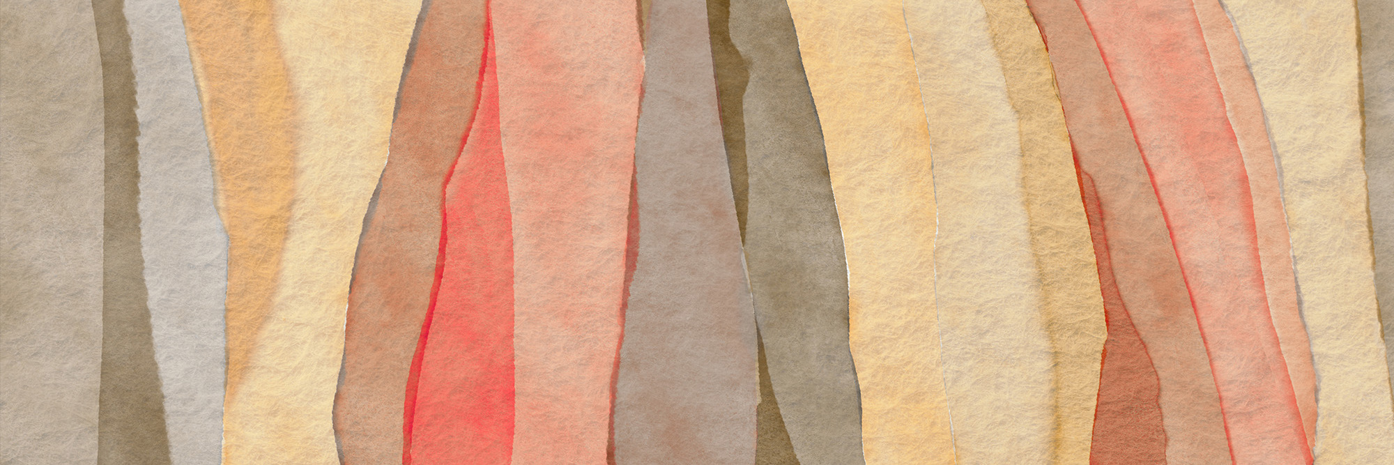 Submissions on new BNPL Regulatory landscape Desktop Image