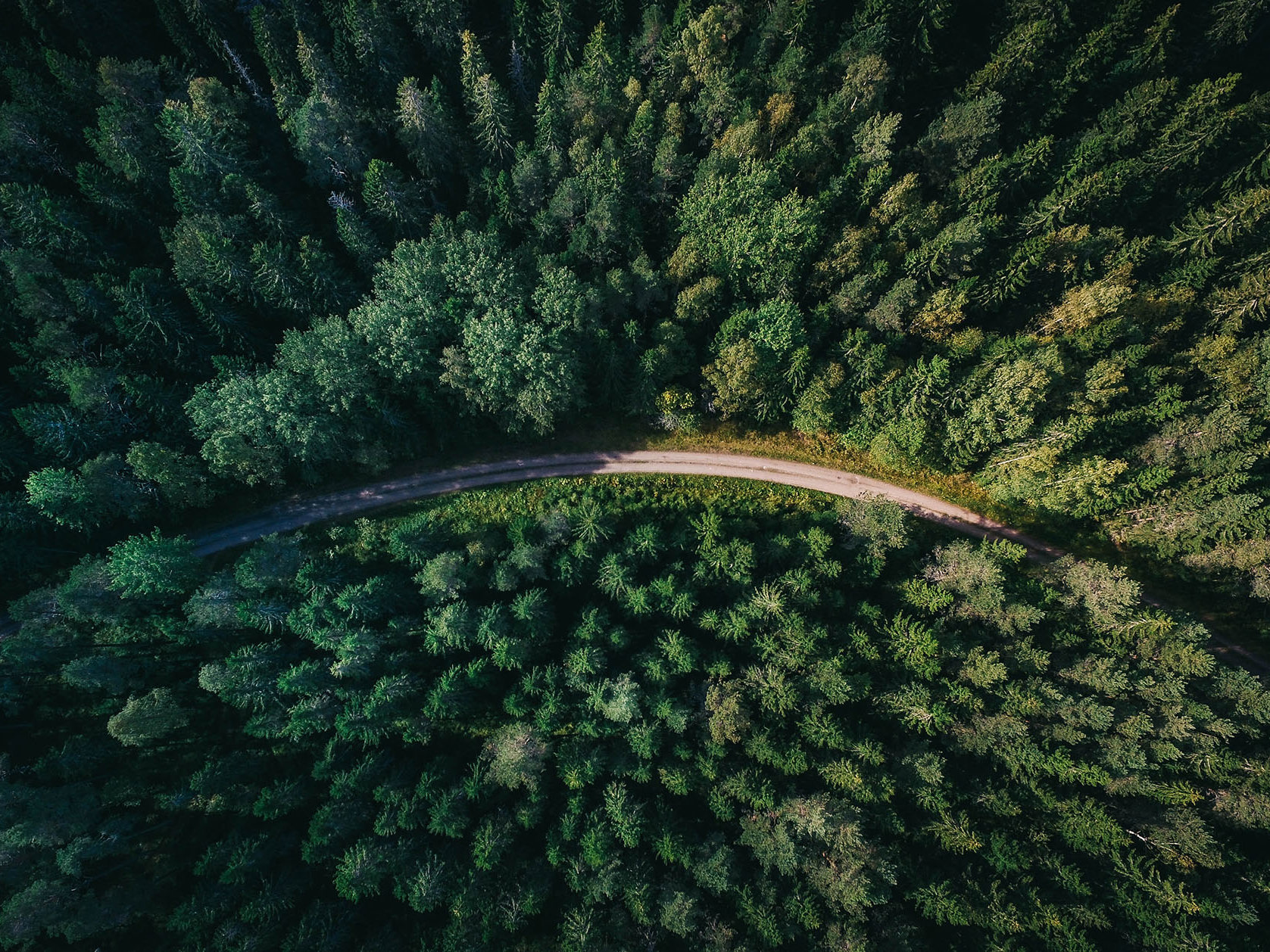 Changes to the ETS to remove agriculture and limit farm-to-forestry conversions  Mobile Image