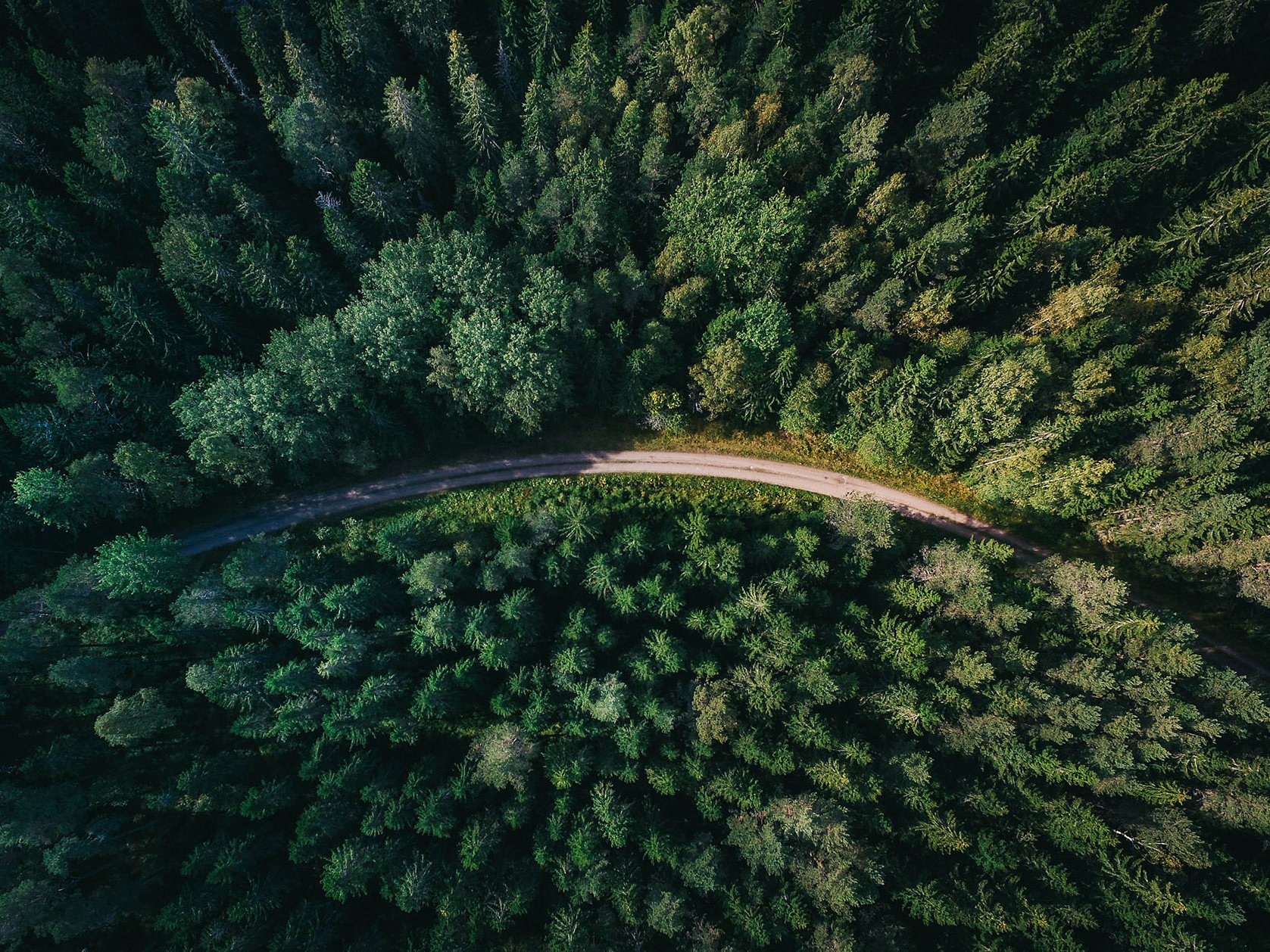 Have your say: the future of the ETS and forestry offsets Mobile Image