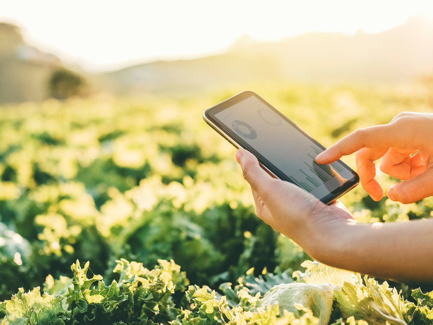XRB publishes final Climate-related Disclosures Staff Guidance for All Sectors Mobile Image