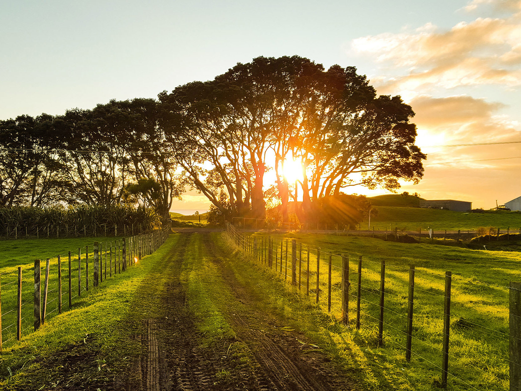 Auckland and Christchurch's intensification plans have been reset Mobile Image