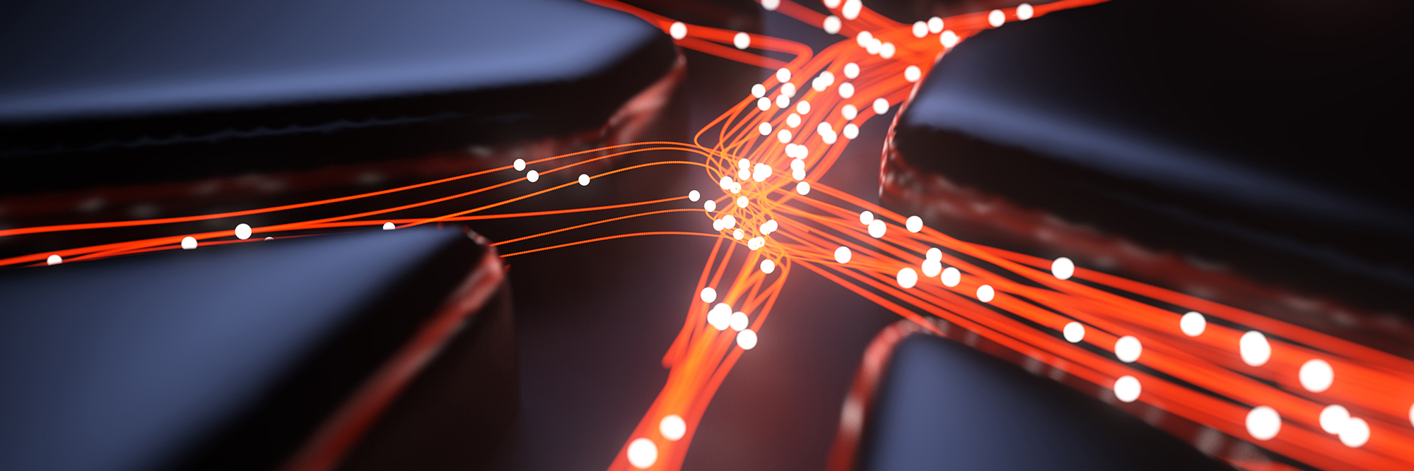 Paying it forward: Modernising New Zealand’s payments system Desktop Image