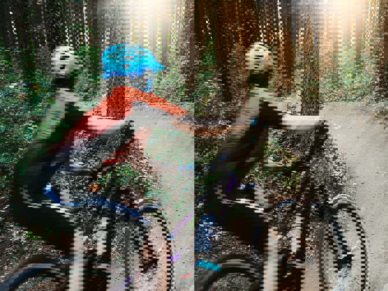 Overview: Is the storm coming? Mobile Image