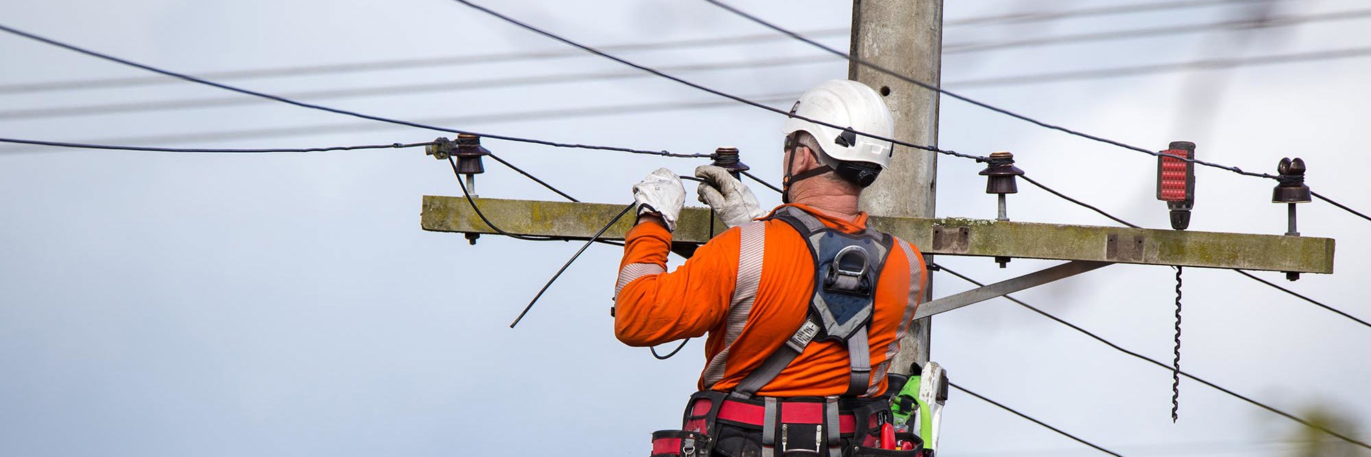 Building our energy future: How Northpower will meet the challenge Desktop Image