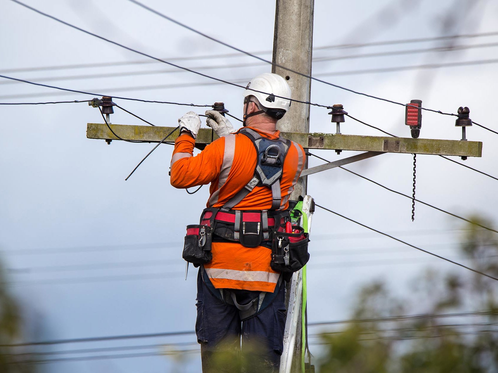 Building our energy future: How Northpower will meet the challenge Mobile Image