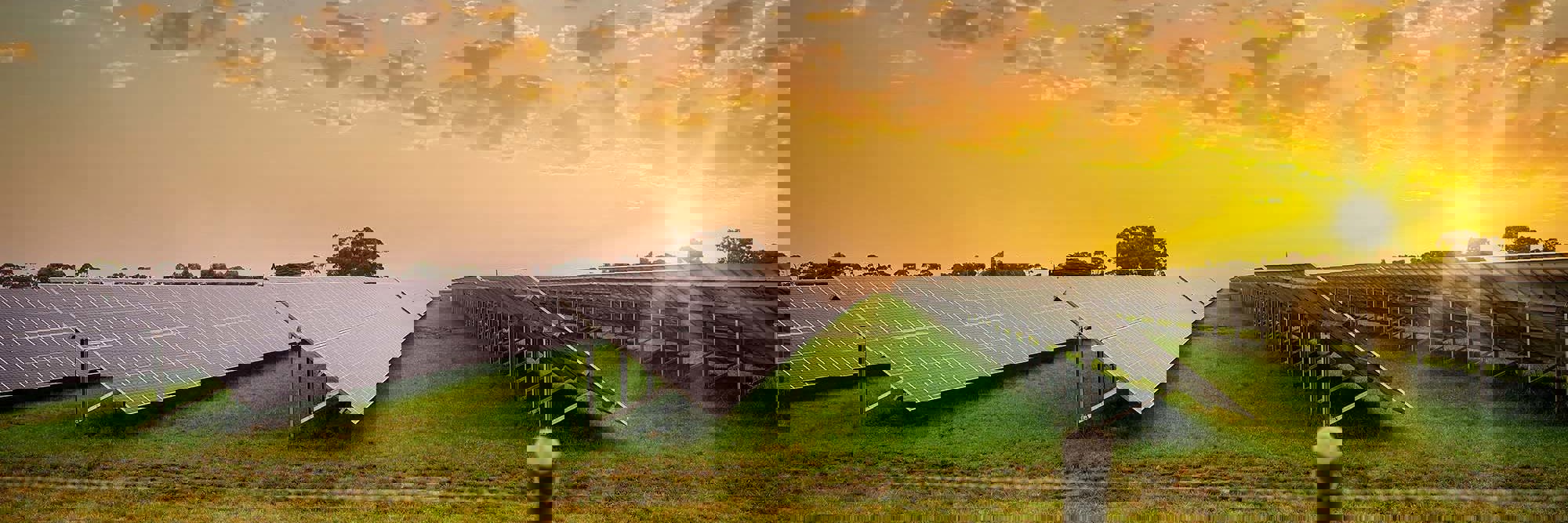 New Zealand’s energy sector: What’s in the mix for 2026? Desktop Image