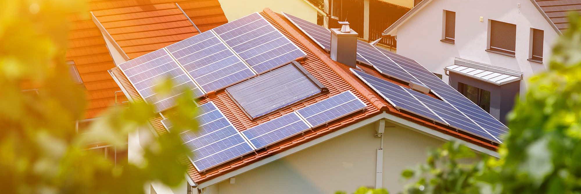 Empowering change: How Ara Ake is driving energy innovation Desktop Image