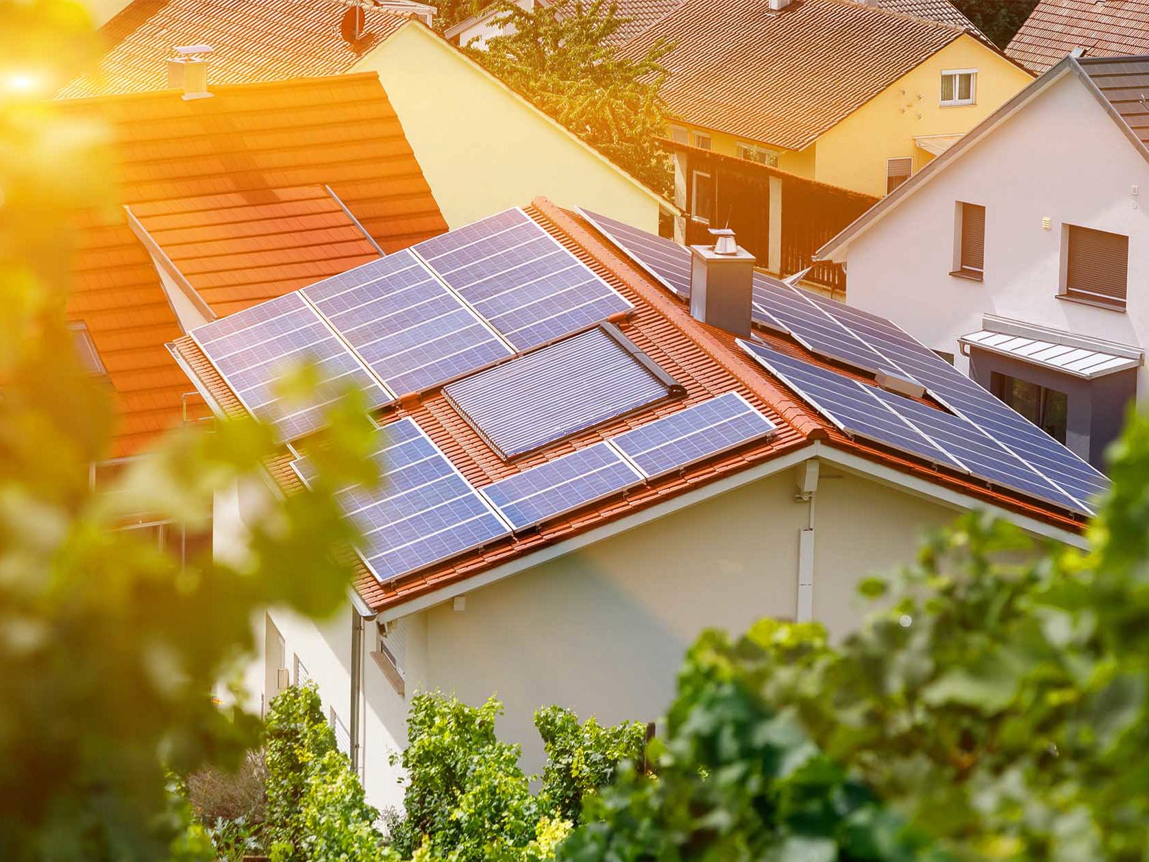 Empowering change: How Ara Ake is driving energy innovation Mobile Image