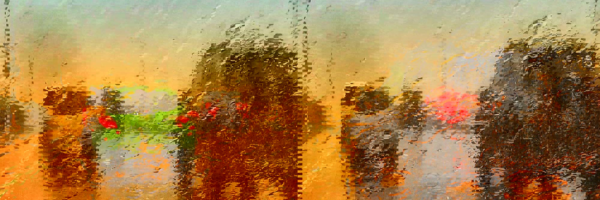 Case Study: A flood and a dishonest insured Desktop Image