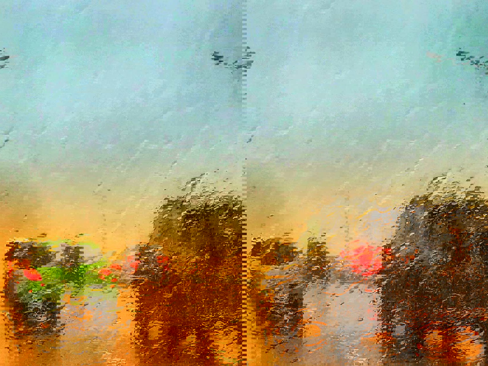 Case Study: A flood and a dishonest insured Mobile Image