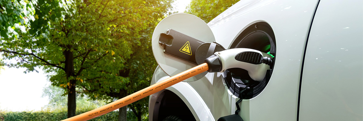 Two-way traffic: The potential of bidirectional EV charging in New Zealand Desktop Image