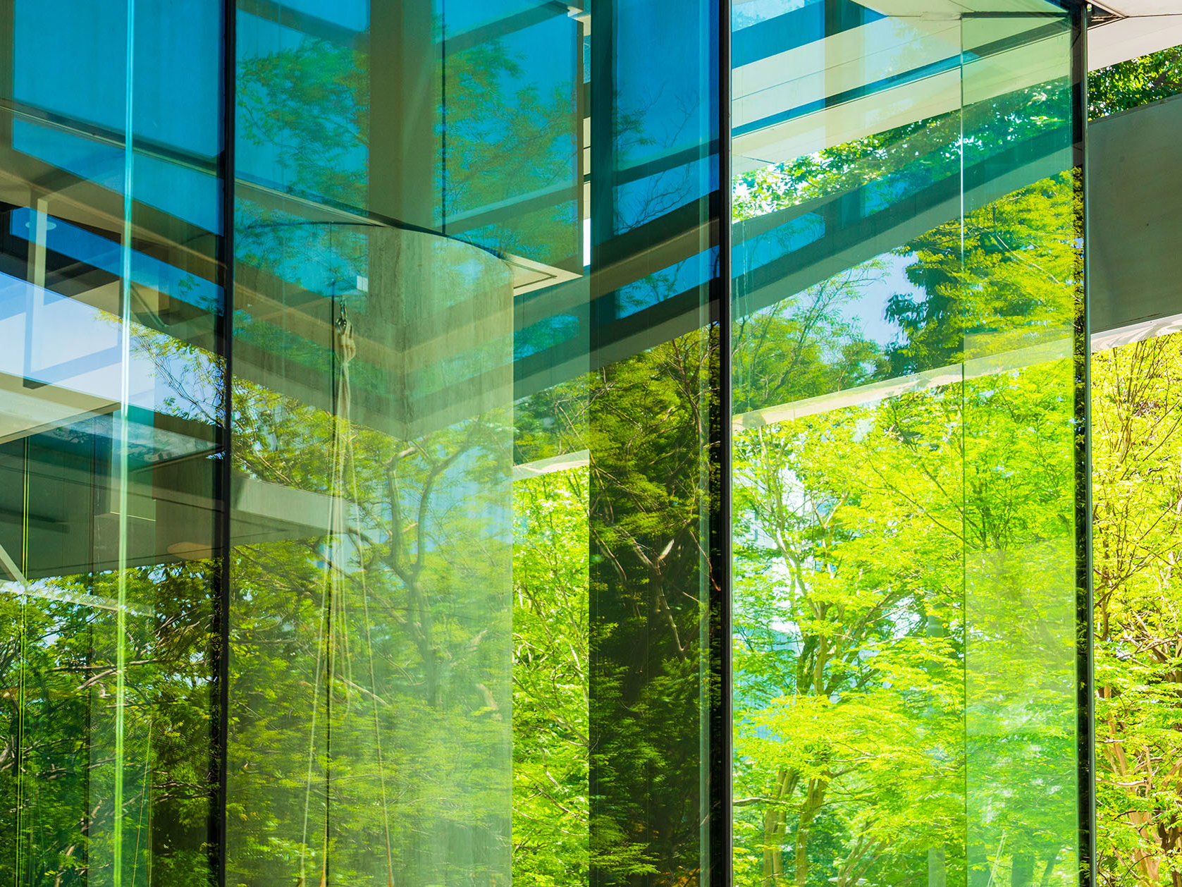 Climate statements: The third instalment Mobile Image