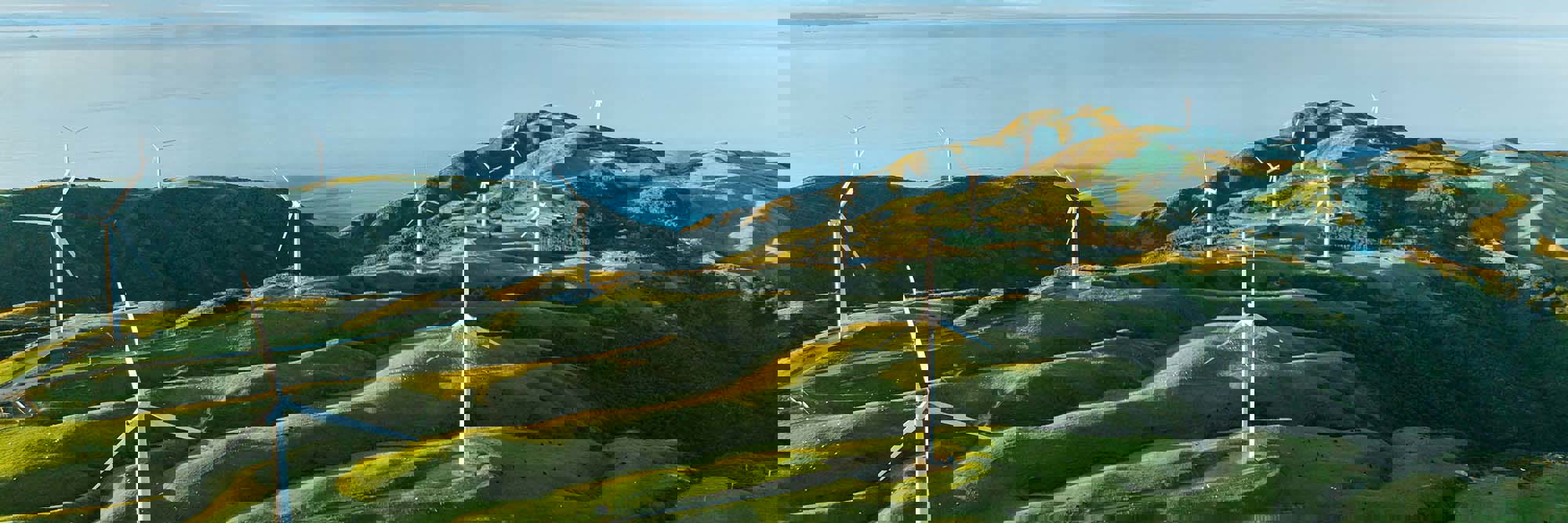 New OIO guidance clears the air for wind and solar farming Desktop Image