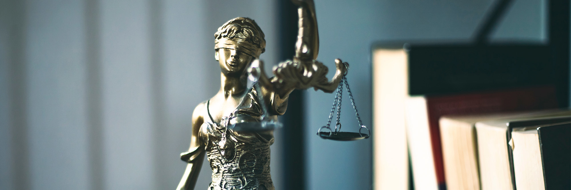 Judicial review in the spotlight Desktop Image