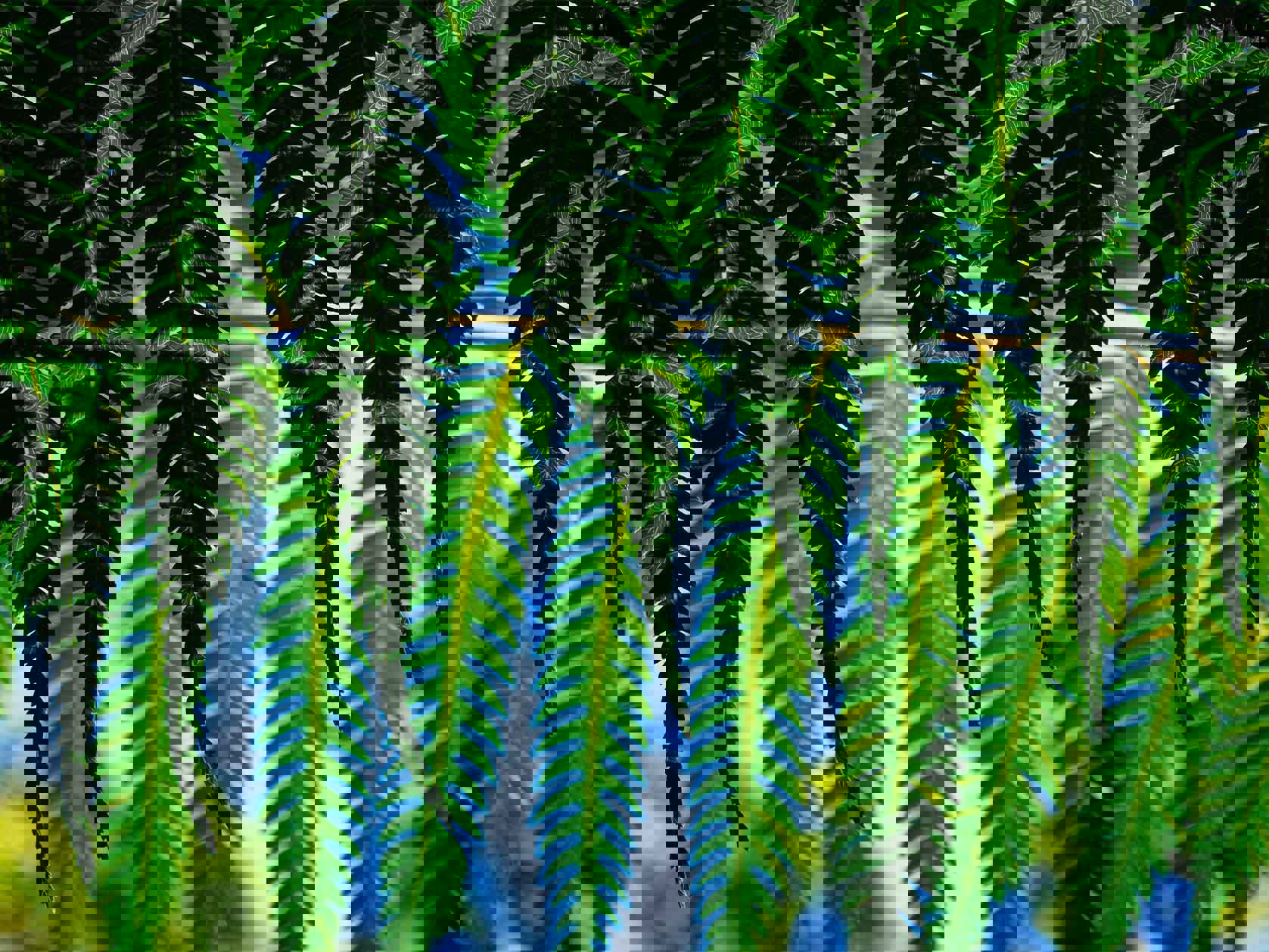 Resetting the rules: Merger reform and a new national interest test for overseas investment Mobile Image