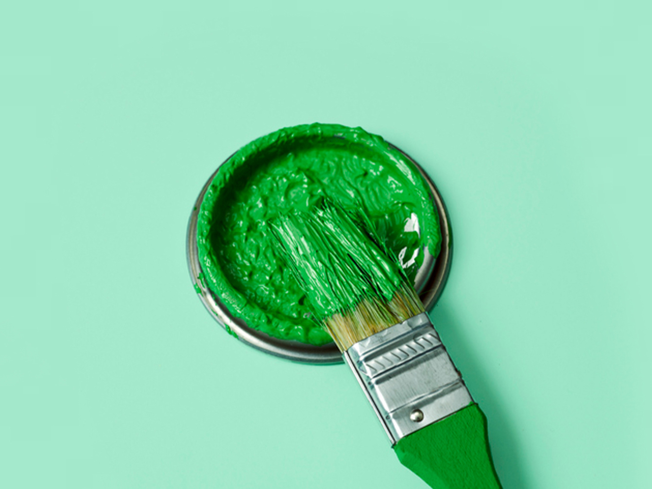Greenwashing: The new due diligence environment Mobile Image