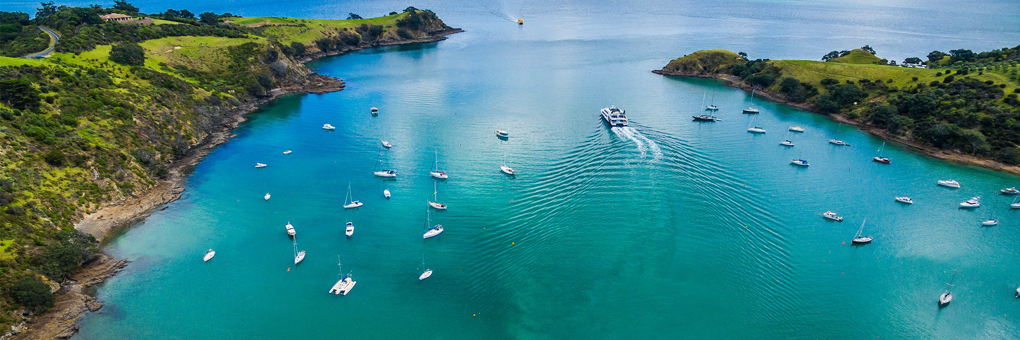 Tip of the foil: Building network capability to enable Auckland’s sustainable ferry future Desktop Image
