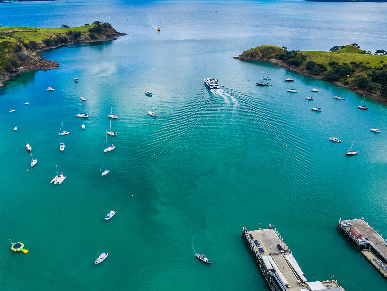 Tip of the foil: Building network capability to enable Auckland’s sustainable ferry future Mobile Image