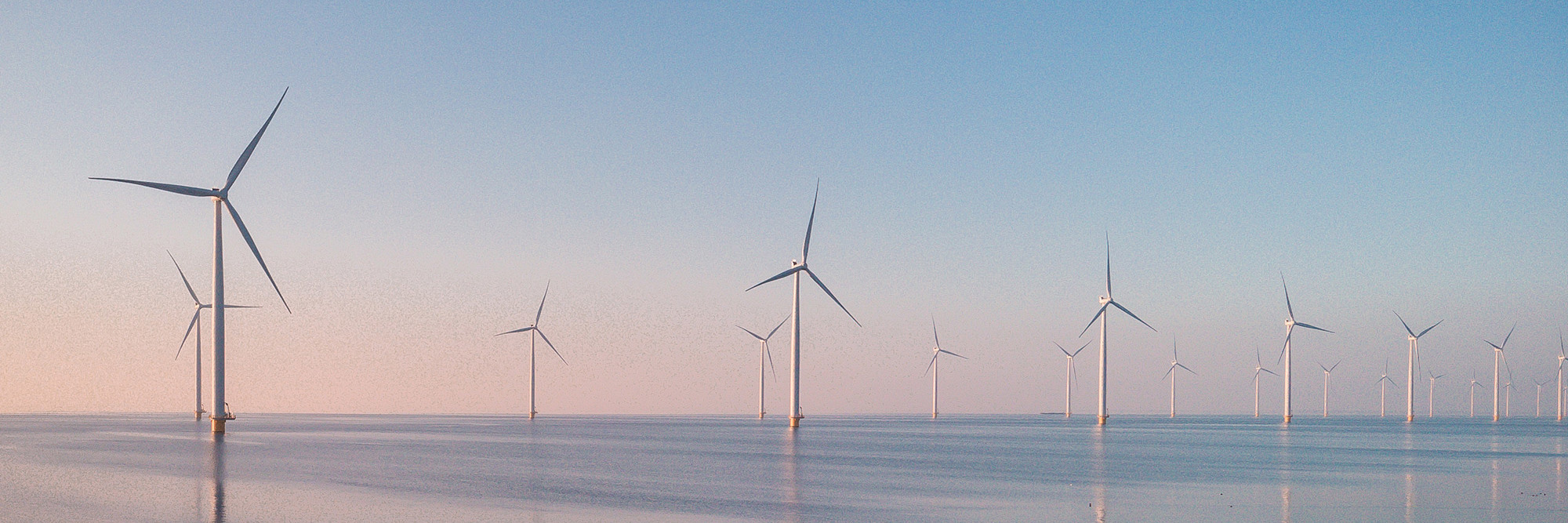 Enabling offshore energy:  A balance between certainty of  investment and environmental risk Desktop Image