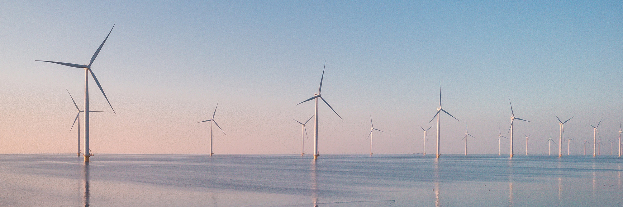 Power to the people: Have your say on the future of New Zealand’s energy sector Desktop Image