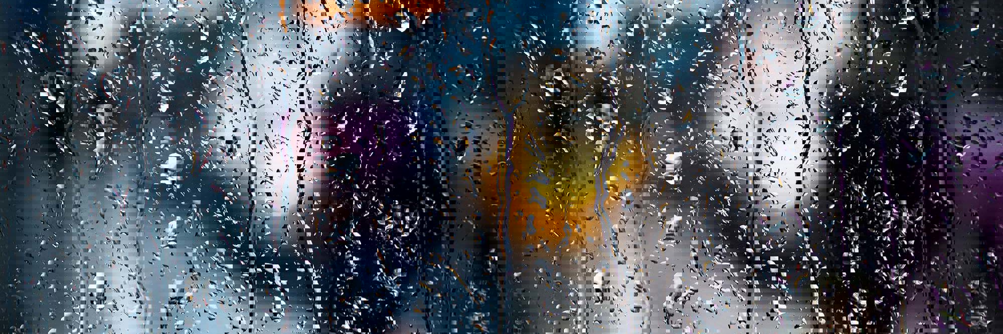 Cover to Cover: Issue 29 Desktop Image