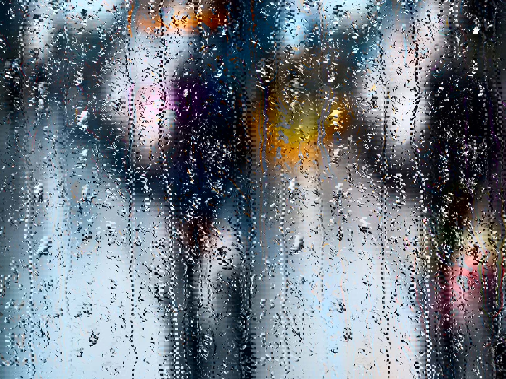 Cover to Cover: Issue 29 Mobile Image