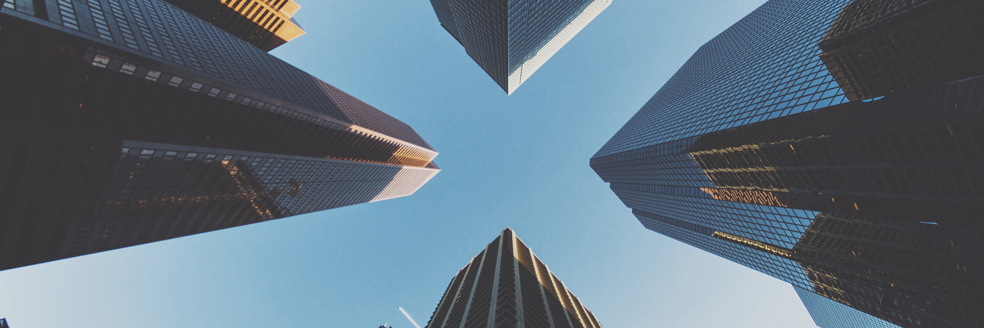 Round up of the key features of NZX50 employee share plans in New Zealand  Desktop Image