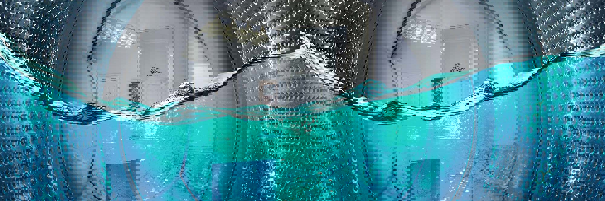 A growing laundry list of washing: An update on ESG and AI washing Desktop Image