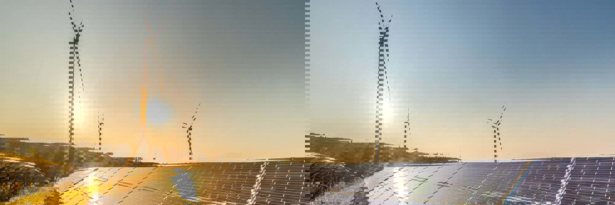 Investing in New Zealand's renewable energy sector Desktop Image