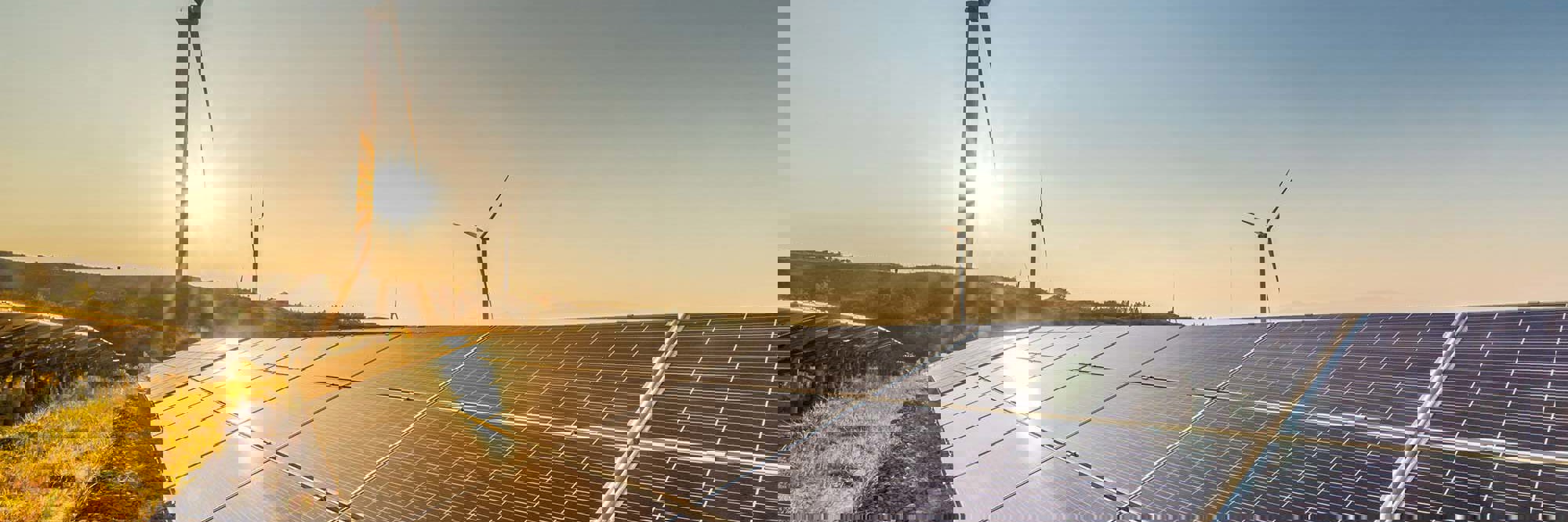 Investing in New Zealand's renewable energy sector Desktop Image