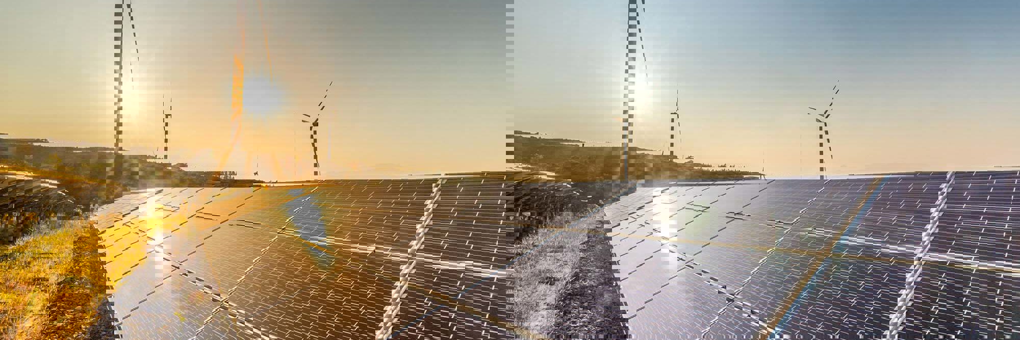 Investing in New Zealand's renewable energy sector Desktop Image