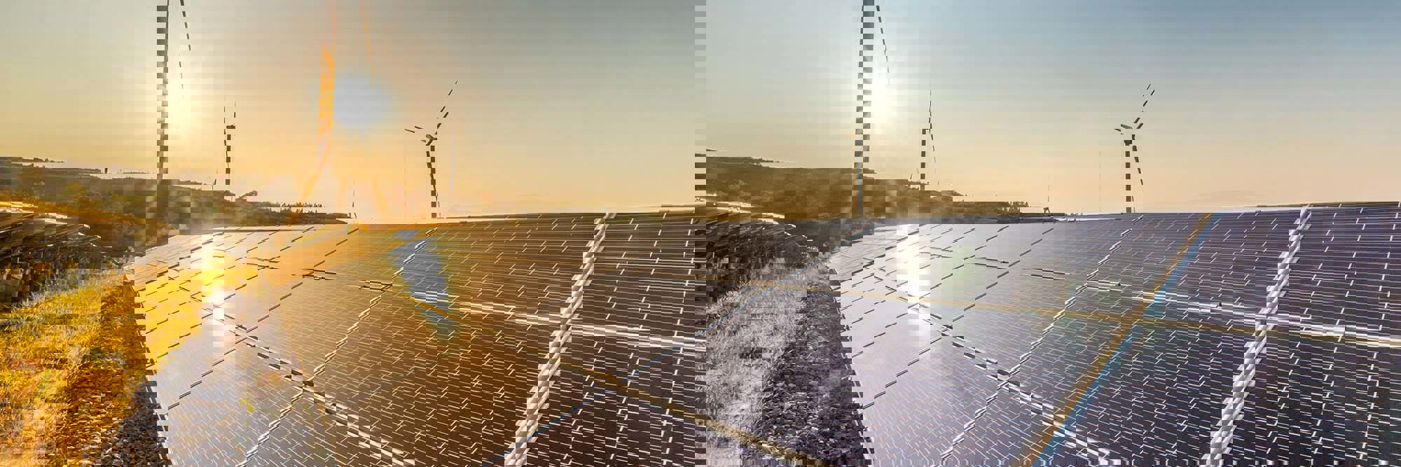 New Zealand's solar market: Key financing considerations Desktop Image