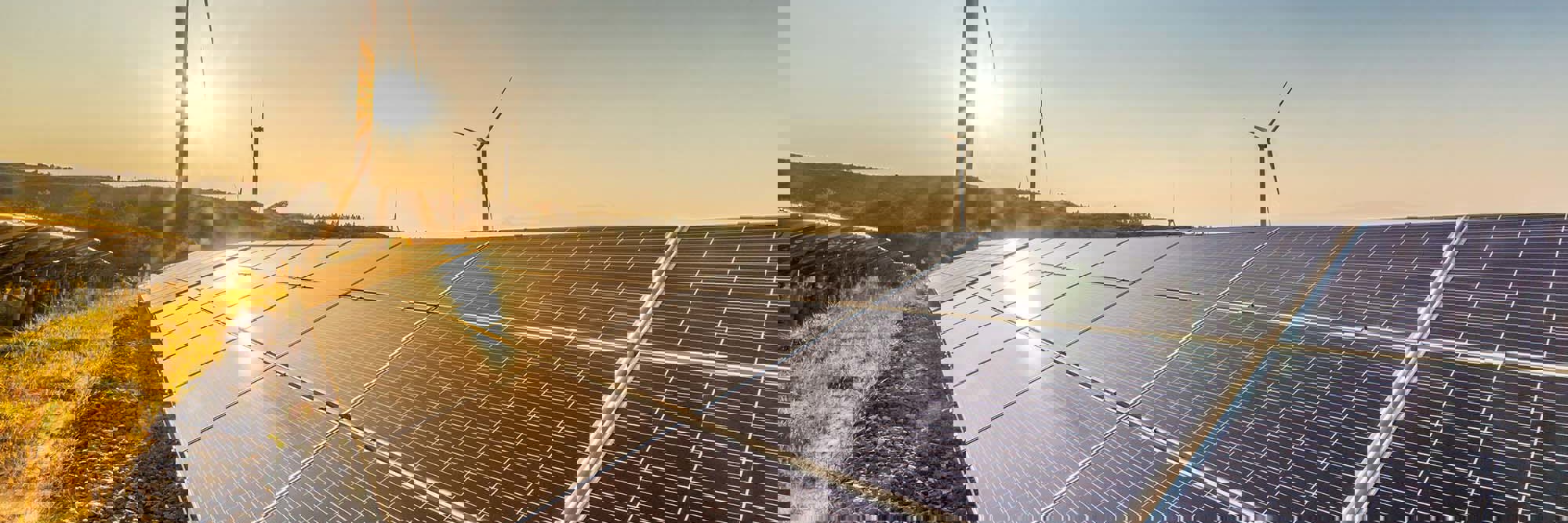 EPC contracting in New Zealand's solar market  Desktop Image