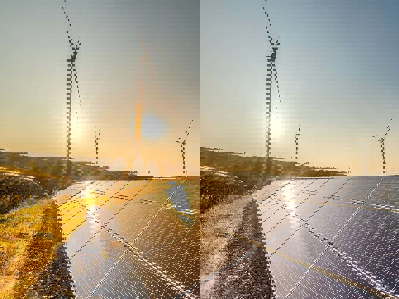 Investing in New Zealand's renewable energy sector Mobile Image