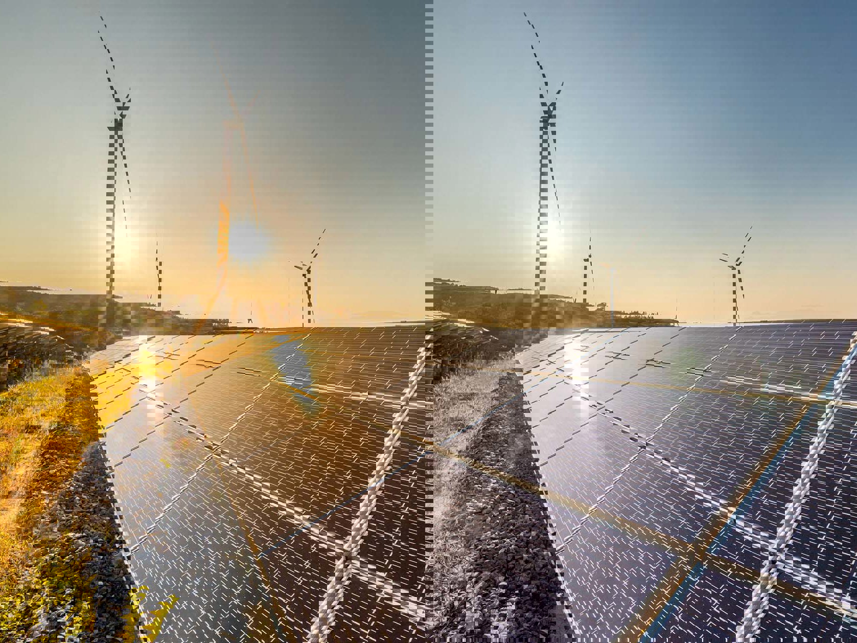 Investing in New Zealand's renewable energy sector Mobile Image